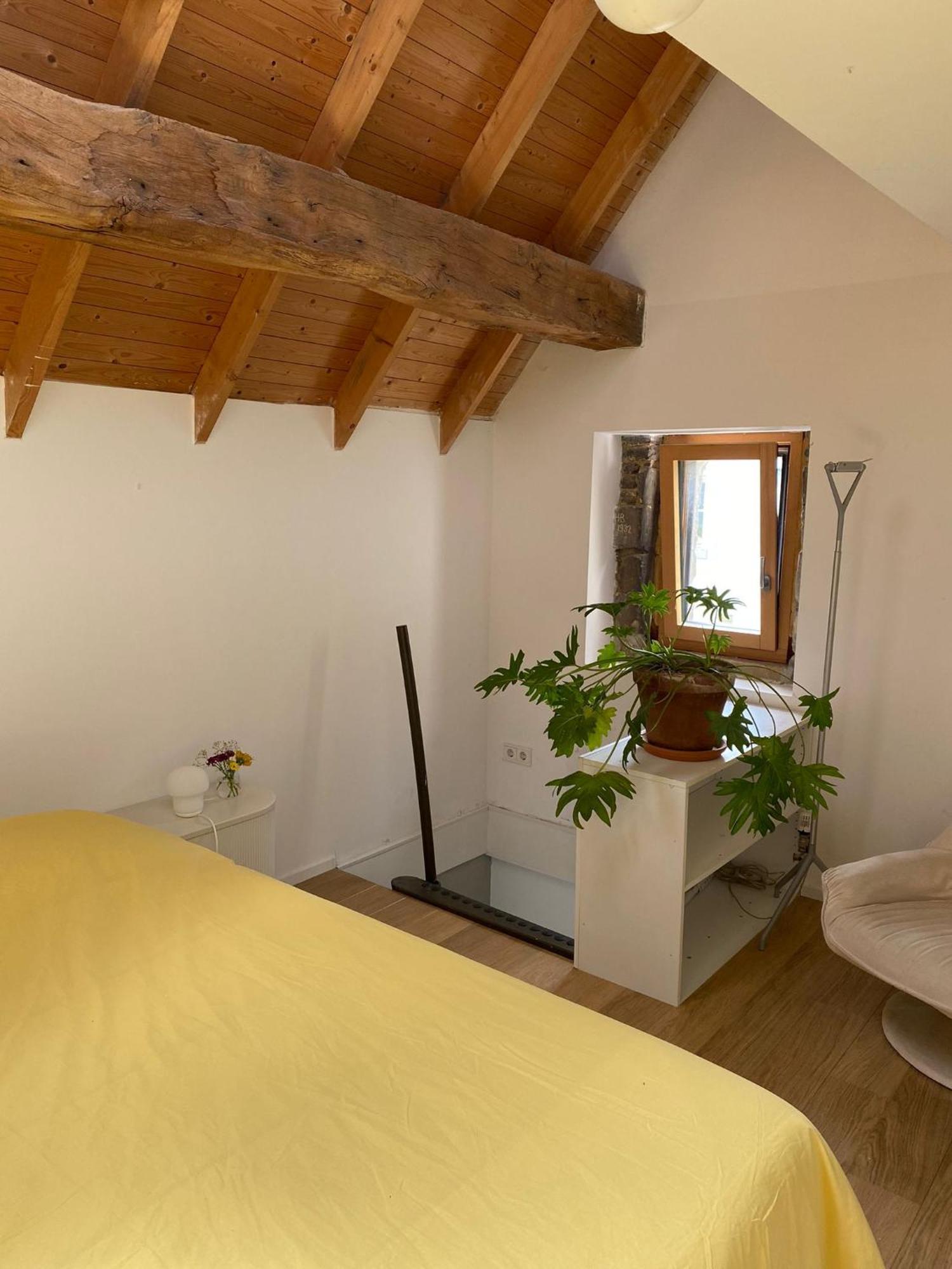 Bed and Breakfast Tanti Baci! Маастрихт Екстер'єр фото